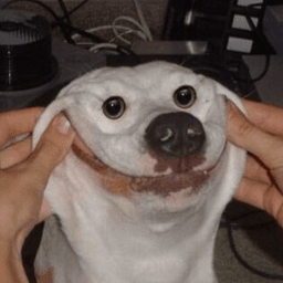 Malderdoge